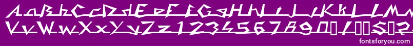 CADDY Font – White Fonts on Purple Background