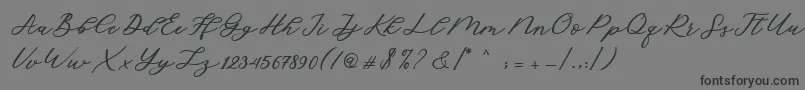 Cadosa Script Font – Black Fonts on Gray Background