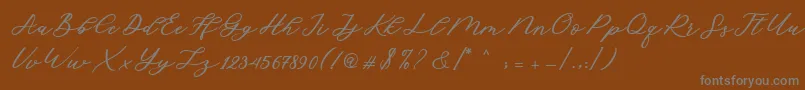 Шрифт Cadosa Script – серые шрифты на коричневом фоне