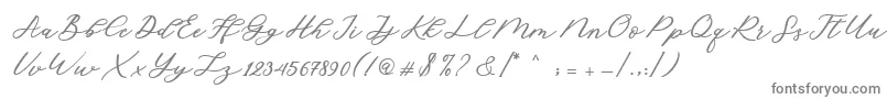 Cadosa Script Font – Gray Fonts on White Background