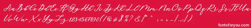 フォントCadosa Script – 赤い背景に白い文字