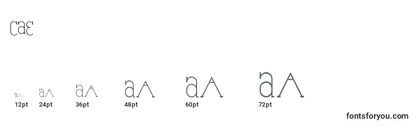Размеры шрифта CAE      (122549)