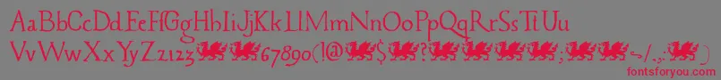 Caerphilly DEMO Font – Red Fonts on Gray Background