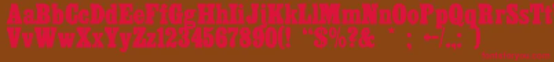 Cairo Font – Red Fonts on Brown Background