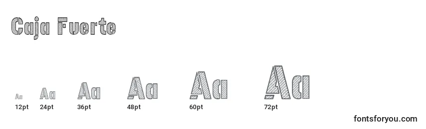 Caja Fuerte Font Sizes