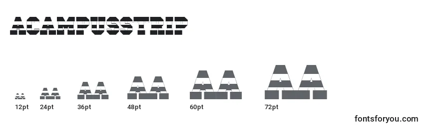 ACampusstrip Font Sizes