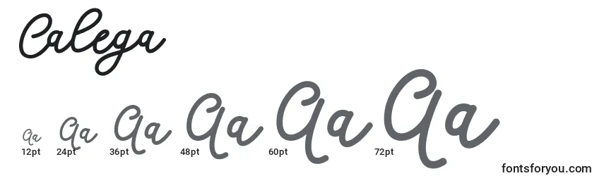 Размеры шрифта Calega