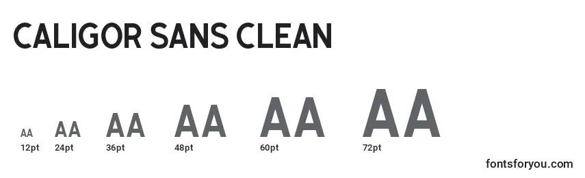 Размеры шрифта Caligor Sans Clean