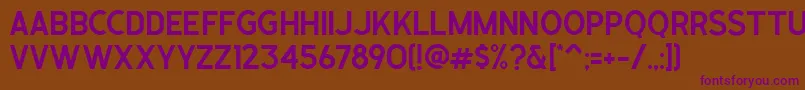 Caligor Sans Clean Font – Purple Fonts on Brown Background