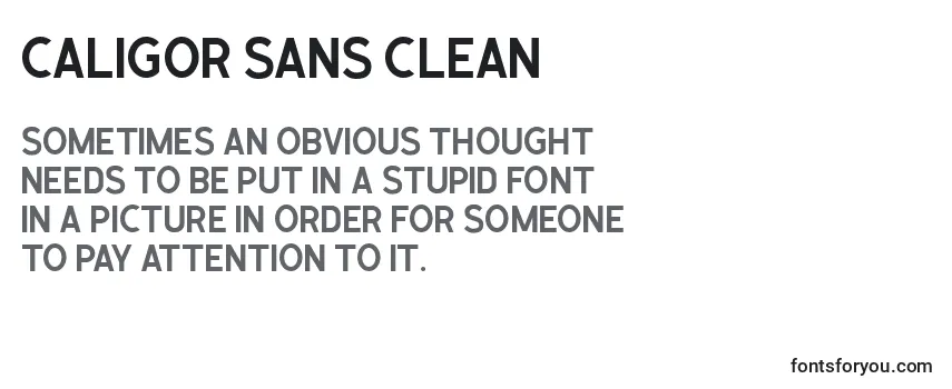 Шрифт Caligor Sans Clean (122589)