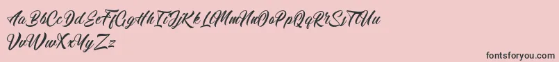 Calingham Font – Black Fonts on Pink Background