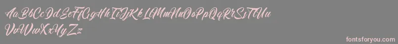 Calingham Font – Pink Fonts on Gray Background