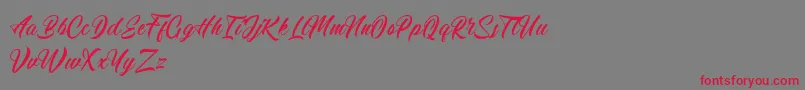 Calingham Font – Red Fonts on Gray Background