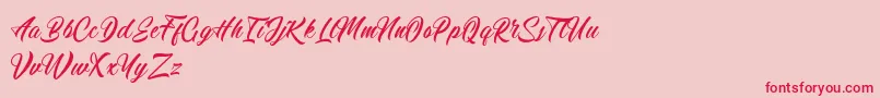 Calingham-Schriftart – Rote Schriften auf rosa Hintergrund