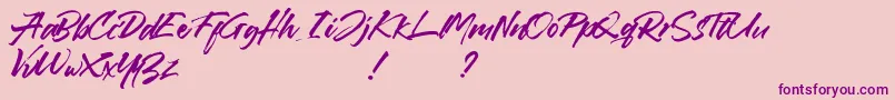 Callaghands Font – Purple Fonts on Pink Background