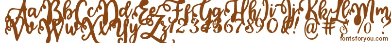 Calligraphy Stye Font – Brown Fonts on White Background