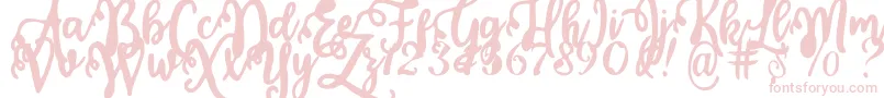 Calligraphy Stye Font – Pink Fonts on White Background