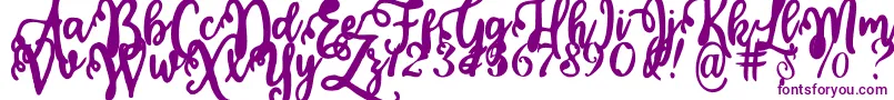 Calligraphy Stye Font – Purple Fonts on White Background