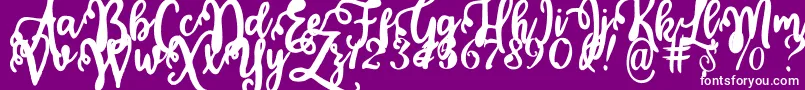 Fonte Calligraphy Stye – fontes brancas em um fundo violeta