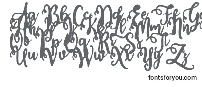Calligraphy Stye -fontin tarkastelu