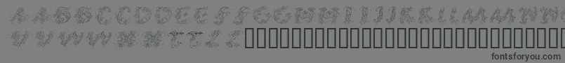 CalliPsoGrafia  Italic Font – Black Fonts on Gray Background