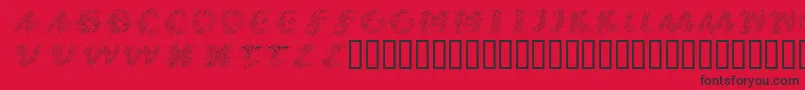 CalliPsoGrafia  Italic Font – Black Fonts on Red Background