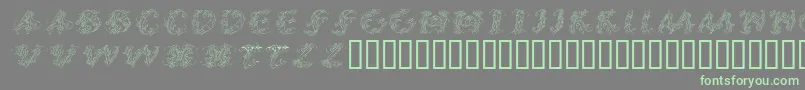 CalliPsoGrafia  Italic Font – Green Fonts on Gray Background