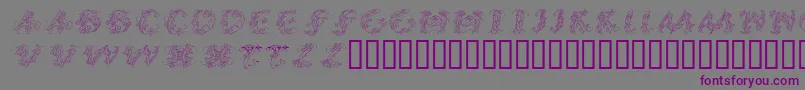 CalliPsoGrafia  Italic Font – Purple Fonts on Gray Background