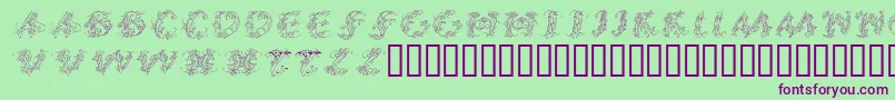 CalliPsoGrafia  Italic Font – Purple Fonts on Green Background