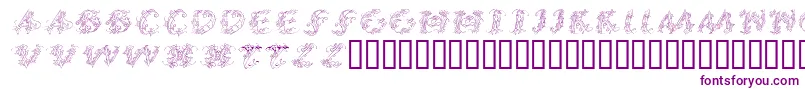 CalliPsoGrafia  Italic Font – Purple Fonts on White Background