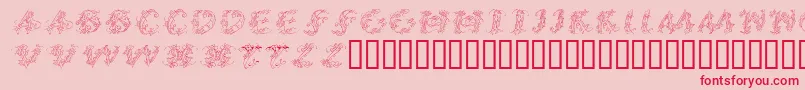 CalliPsoGrafia  Italic Font – Red Fonts on Pink Background