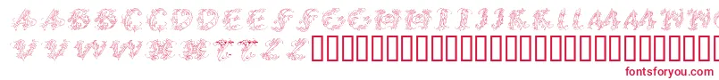 CalliPsoGrafia  Italic Font – Red Fonts