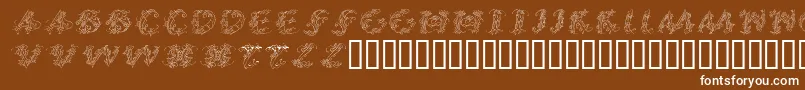 CalliPsoGrafia  Italic Font – White Fonts on Brown Background