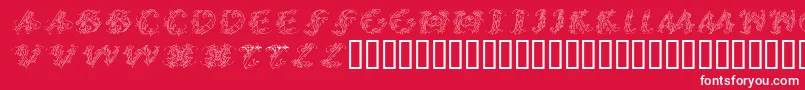 CalliPsoGrafia  Italic Font – White Fonts on Red Background