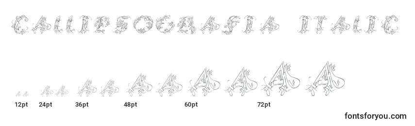 Размеры шрифта CalliPsoGrafia  Italic