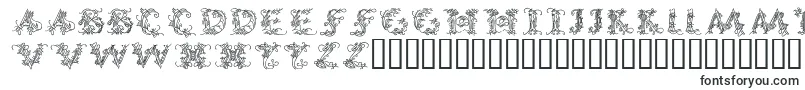 CalliPsoGrafia  Medium Font – Fonts for Adobe Muse