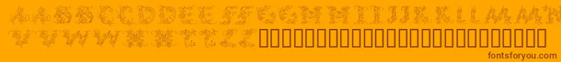 CalliPsoGrafia Font – Brown Fonts on Orange Background