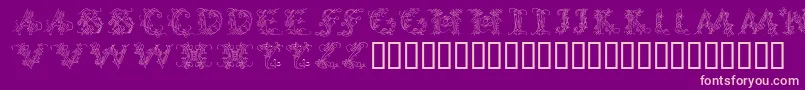 CalliPsoGrafia Font – Pink Fonts on Purple Background