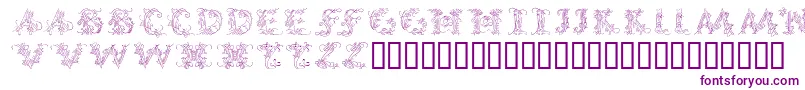 CalliPsoGrafia Font – Purple Fonts on White Background