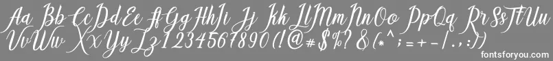 Callisa Script-fontti – valkoiset fontit harmaalla taustalla