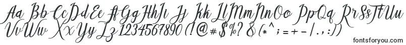 Callisa Script Font – Print Fonts