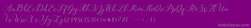 Callme Script-Schriftart – Graue Schriften auf violettem Hintergrund