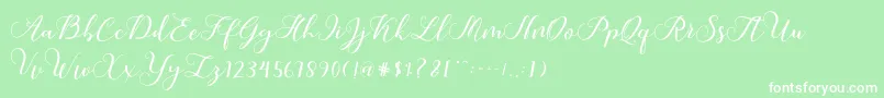 Callme Script Font – White Fonts on Green Background