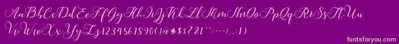 Callme Script Font – Pink Fonts on Purple Background