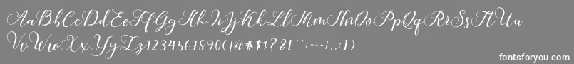 Callme Script Font – White Fonts on Gray Background