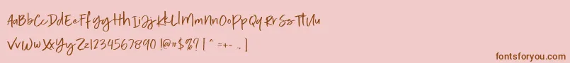 Calorie Demo Font – Brown Fonts on Pink Background