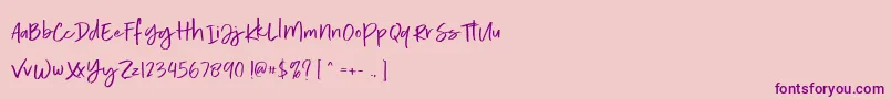 Calorie Demo Font – Purple Fonts on Pink Background