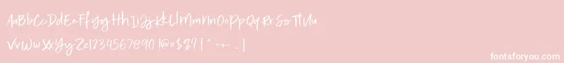 Calorie Demo Font – White Fonts on Pink Background
