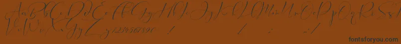 Cameliya Stark Font – Black Fonts on Brown Background