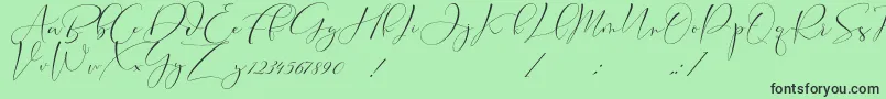 Cameliya Stark Font – Black Fonts on Green Background